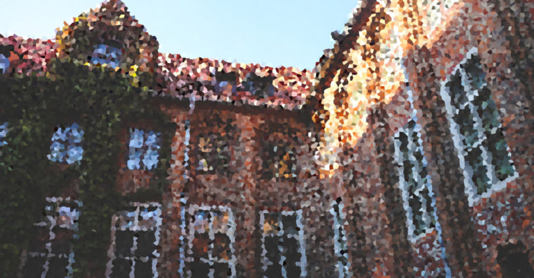 Going Negative in Political Advertising